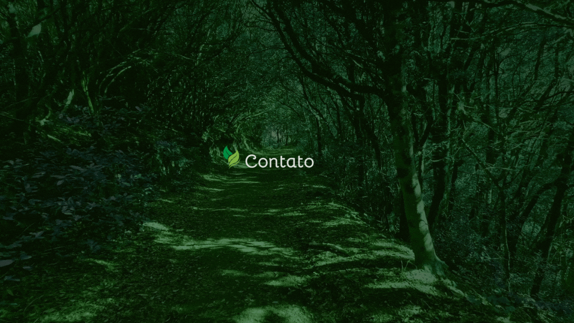 Contato